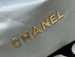 Chanle 22 Backpack