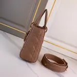 Medium Lady Dior Bag