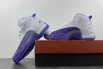 Nike Air Jordan 12  CT8013-150