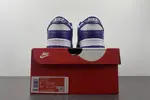 Nike Dunk Low “Court Purple”  DD1391-104