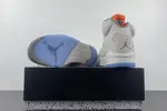 Air Jordan 5 SE “Craft”  FD9222-180