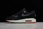 Nike Air Max 1 Premium 875844-007