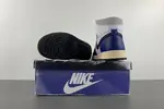 Air Jordan 1 Retro High OG DZ5485-401