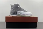 Air Jordan 12 STEALTH  CT8025-610