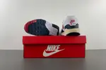 Nike Air Max 1 DH1348-146