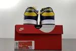 Nike SB Dunk Low Michigan DD1391-700