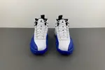 Air Jordan 12 “Blueberry”  CT8013-140