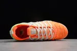 Nike Vapormax Plus AO4550-003