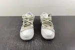 Nike Dunk Low DV0833-100