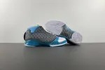 Air Jordan 23 OG 318376-001