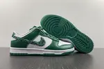 Nike Dunk Low SB DH4401-102