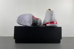 Air Jordan 23 OG 318376-161