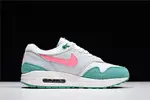 Nike Air Max Anniversary Watermelon  AH8145-106