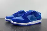 Nike SB Dunk Low Pro  DM0807-400