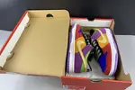 Nike Dunk Low SB Viotech CT5050-500