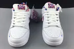 Parra x Nike SB Dunk Low CN4504-100