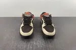 Nike Dunk Low “Red Panda”  FV0395-200