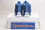 Air Jordan 12 130690-404