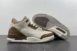 Air Jordan 3 “Palomino”  CT8532-102