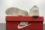 NIKE DUNK LOW  DD1503-107