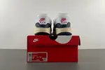 Nike Air Max 1 DH1348-146