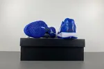 Nike Kobe 6 Protro “Dodgers” CW2190-400