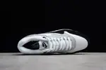 Nike Air Max 1 Wolf Grey AH8145-003