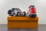 Nike Zoom Kobe  CW2190-146
