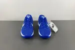 Nike Kobe 6 Protro “Dodgers” CW2190-400