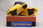 Air Jordan 12 “University Gold” 130690-070