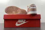NK Dunk Low Retro DD1503-118