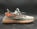 Yeezy Boost 350 V2 True Form EG7492