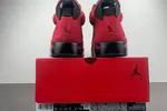 Air Jordan 6 Toro CT8529-600