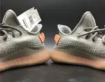 Yeezy Boost 350 V2 True Form EG7492