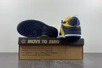 Nike Dunk Low Disrupt 2 DV4024-400