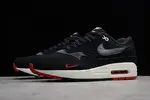 Nike Air Max 1 Premium 875844-007