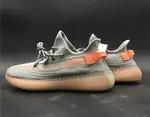 Yeezy Boost 350 V2 True Form EG7492