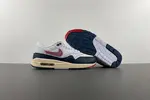 Nike Air Max 1 DH1348-146