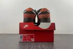 Nike Dunk Low “Red Panda”  FV0395-200