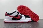 Nike Dunk Low  FD9762-061