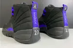Air Jordan 12 “Dark Concord” CT8013-005