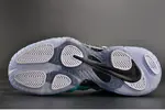 Nike Air Foamposite Pro 624041-303