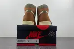 AJ1 Gore-Tex Jordan 1 High DB2889-100