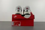 Air Max 1 Premium SE HF7746-100