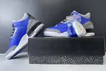 Air Jordan 3 “Varsity Royal” CT8532-400