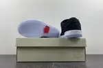 Nike Dunk Low FN 4193-013