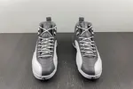 Air Jordan 12 STEALTH  CT8025-610