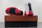 Air Jordan 12 “Cherry”  CT8013-116