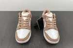 NK Dunk Low Retro DD1503-118