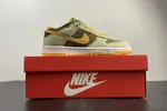 Nike Dunk Low SE DH5360